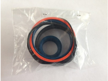 Манжеты для гидроцилиндров Итальянского производителя Ravaglioli