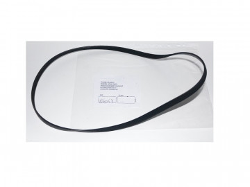 Ремень Werther-OMA W6047